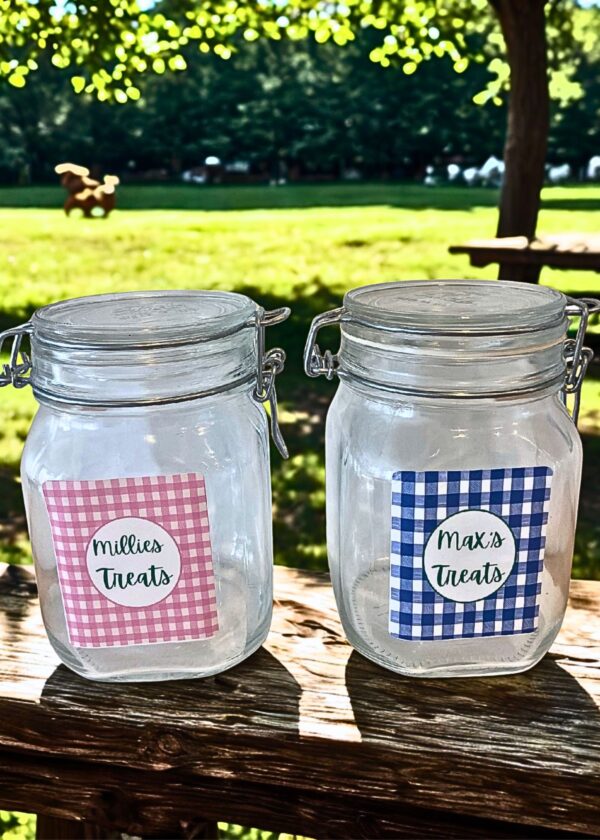 Customized Treat Jar for Pets