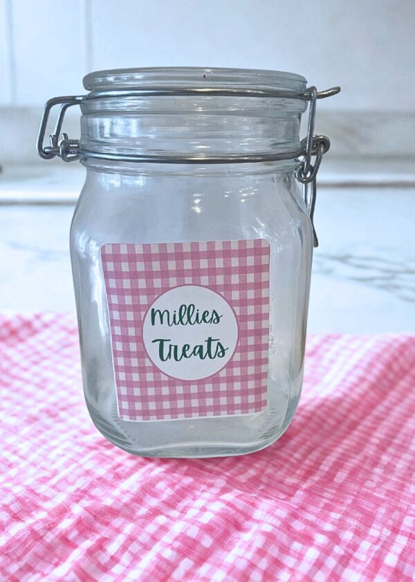 Customized Treat Jar for Pets