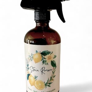 Stain Remover for Laundry Pet Stains and Furniture All Purpose Stain Remover for Clothes and Rugs Spot Remover for the Toughest Stains
