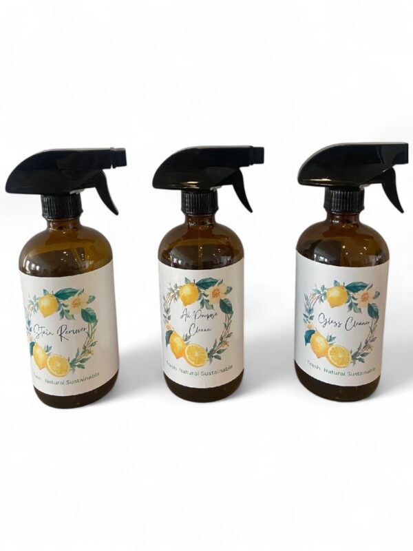 all purpose cleaner glass cleaner stain remover natural cleaners natural cleanng Zero Waste Cleaners eco concious living bathroom cleaner kitchen cleaner window cleaner cleaning supplies mirrow cleaner stove top cleaner A