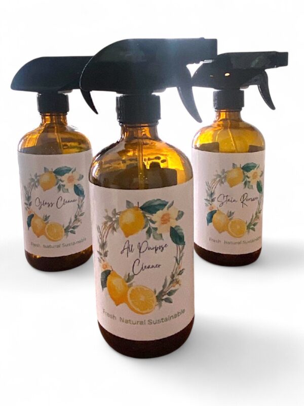 Natural Cleaning for your Eco-friendly home. Glass Cleaner, Spot Cleaner and All Purpose Cleaner