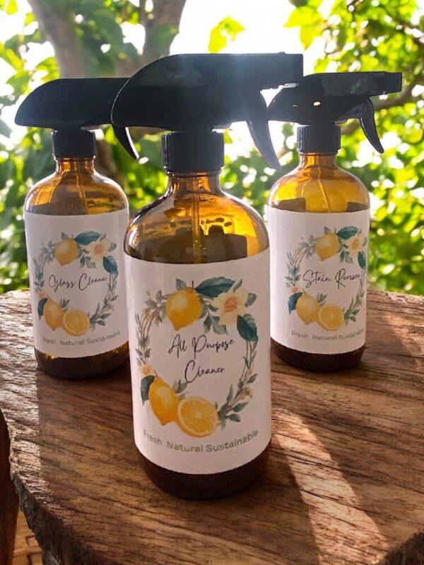 Zero Waste Cleaning Supplies