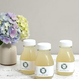 Natural Laundry Detergent Sampler Set of Three Scents